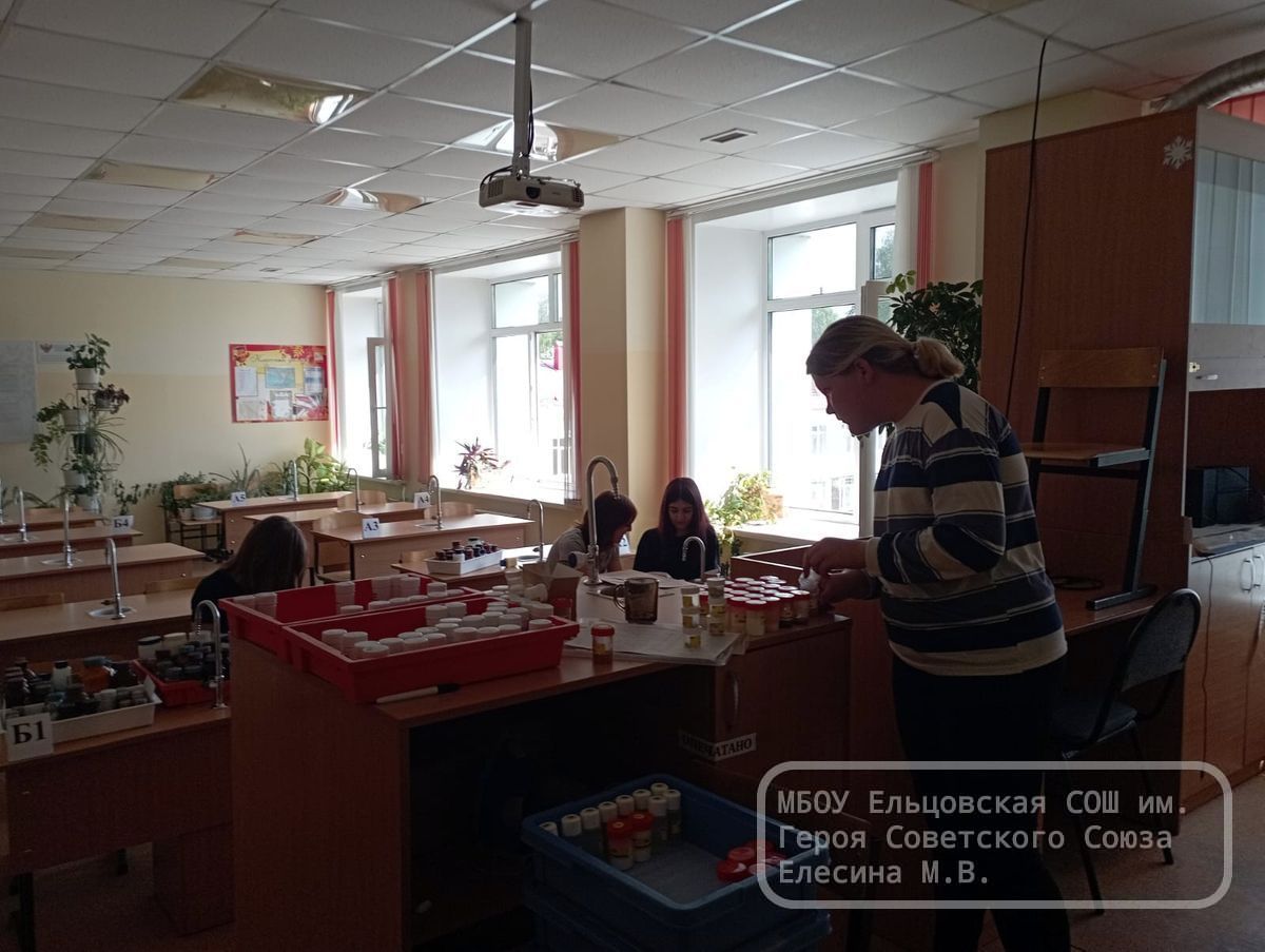Юные экологи.