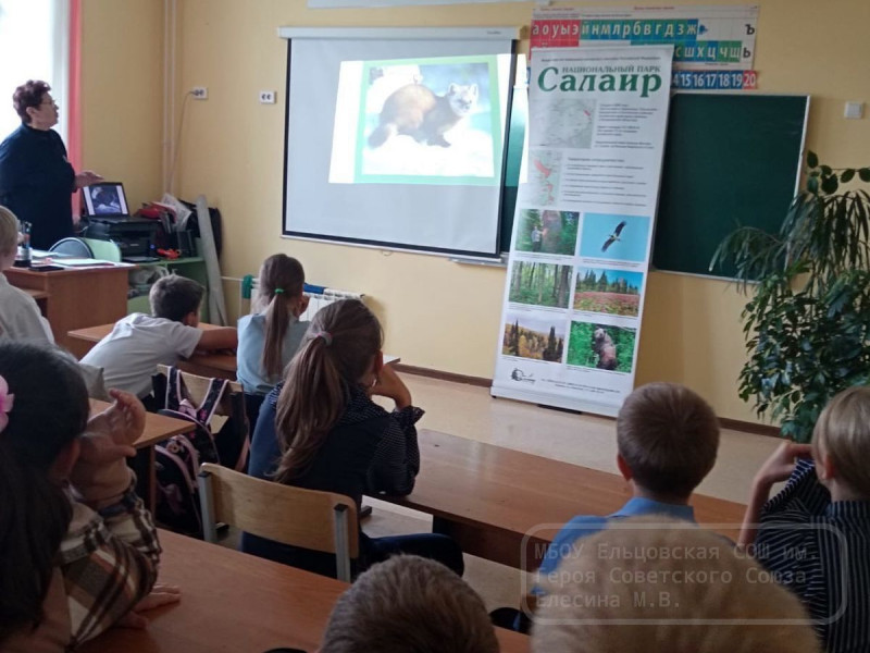 Всемирный день защиты животных.