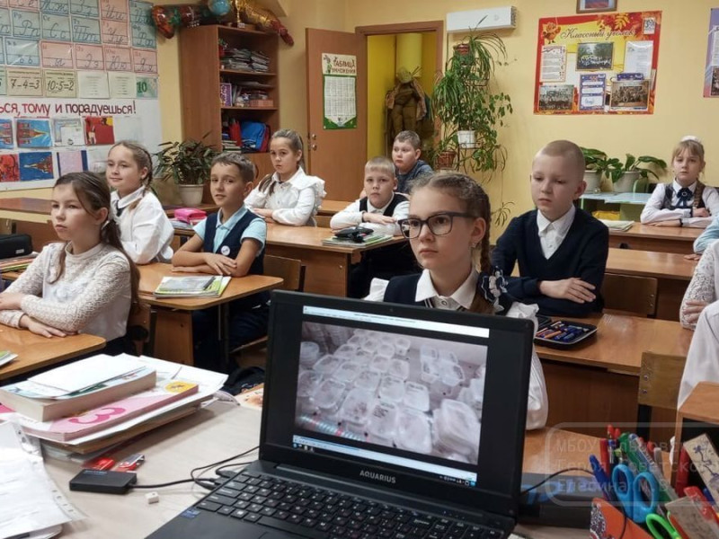 Утро понедельника 10 ноября 2025.
