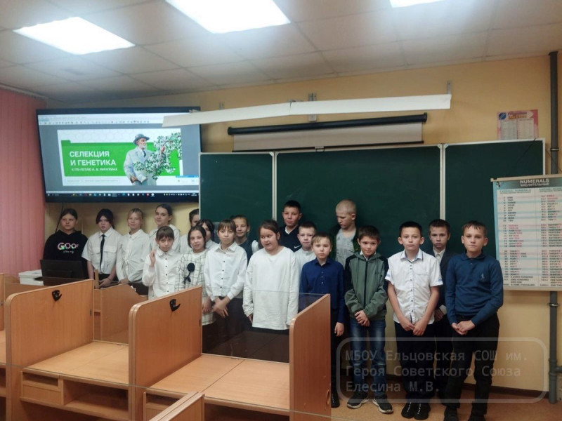 Утро понедельника 10 ноября 2025.
